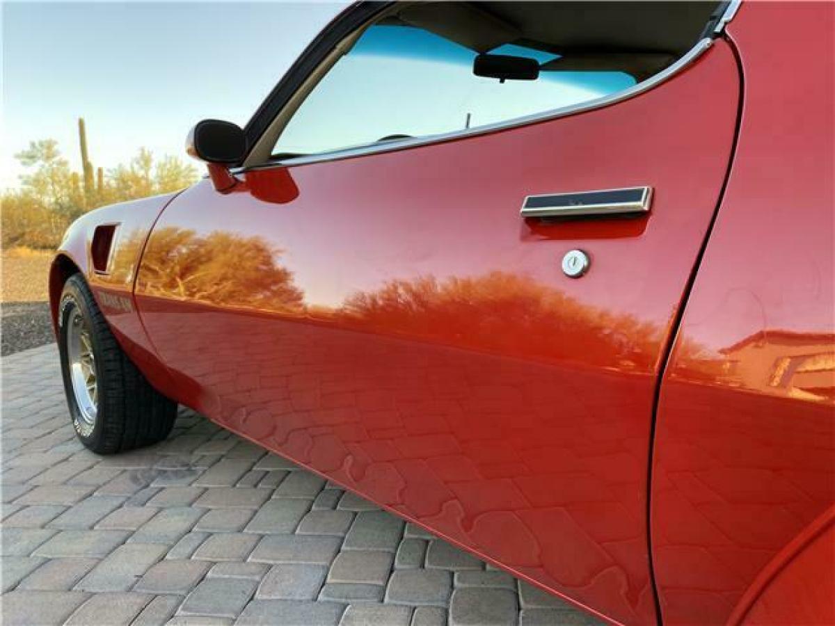 1977 Pontiac Trans Am Trans Am Firebird - photo 12