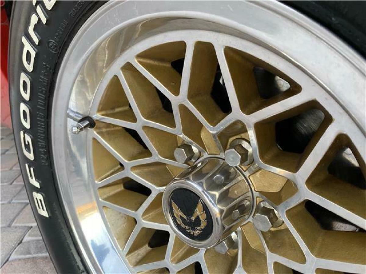 1977 Pontiac Trans Am Trans Am Firebird - photo 3