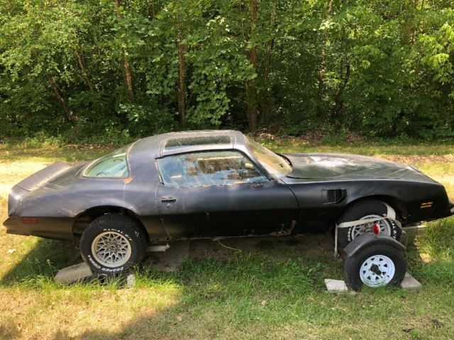 1977 Pontiac Trans Am Bandit - photo 3