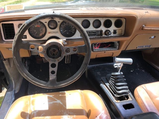 1977 Pontiac Trans Am Bandit - photo 8