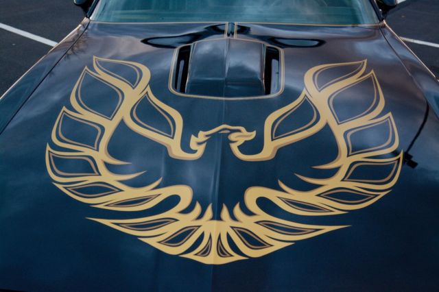 1977 Pontiac Trans Am - photo 11