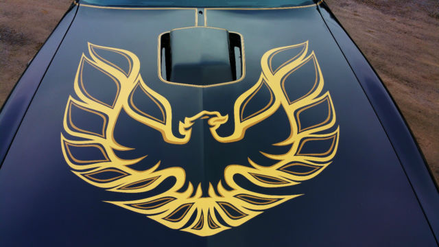 1977 Pontiac Trans Am - photo 13