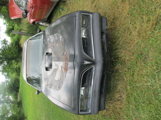 1977 Pontiac Trans Am - photo 3