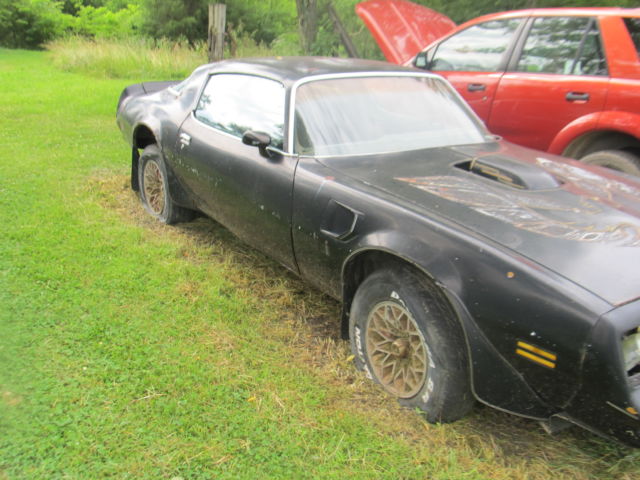1977 Pontiac Trans Am - photo 4