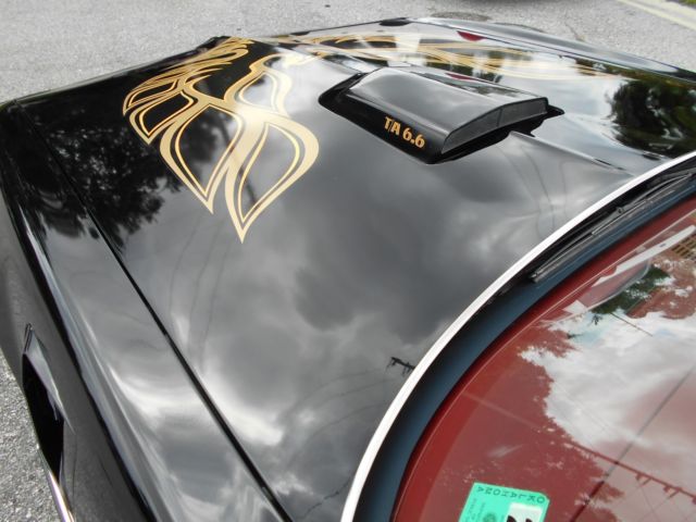1977 Pontiac Trans Am Black - photo 6