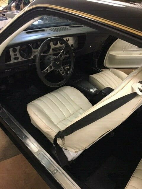 1977 Pontiac Trans Am TRANS AM - photo 11