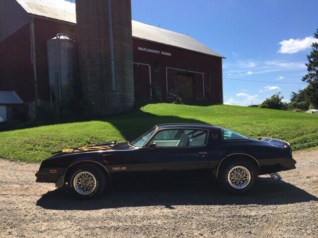 1977 Pontiac Trans Am TRANS AM - photo 3
