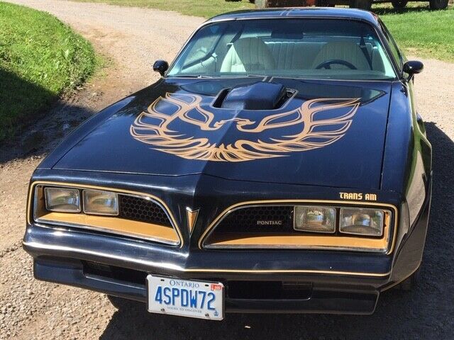 1977 Pontiac Trans Am TRANS AM - photo 4