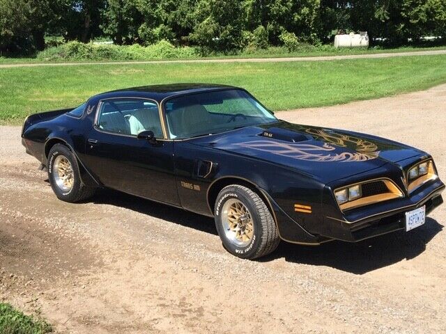 1977 Pontiac Trans Am TRANS AM - photo 5