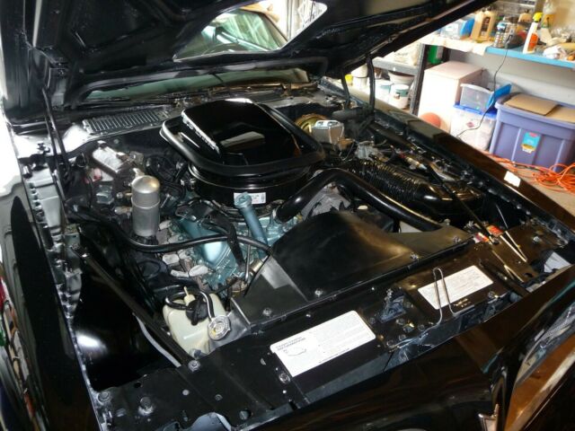 1977 Pontiac Trans Am TRANS AM - photo 10