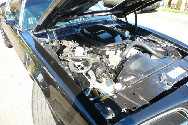 1977 Pontiac Trans Am TRANS AM - photo 4