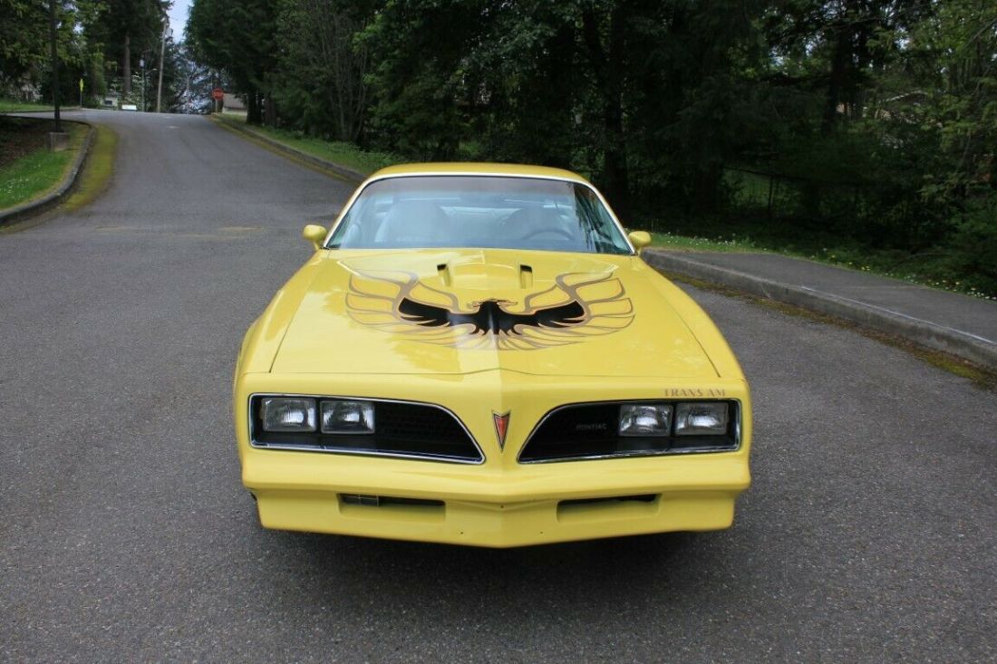 1977 Pontiac Trans Am - photo 8