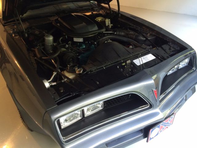 1977 Pontiac Trans Am Special Edition - photo 8