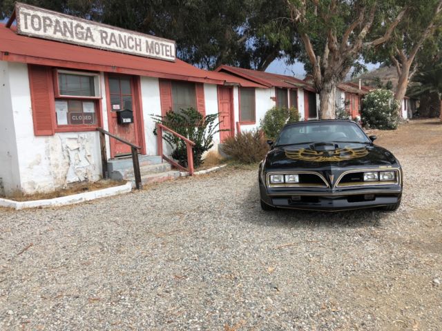 1977 Pontiac Trans Am - photo 3