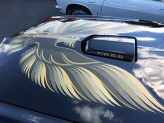 1977 Pontiac Trans Am -M 21 FOUR SPEED-BLACK ON BLACK-T/A-NEW LOW PRICE- - photo 8
