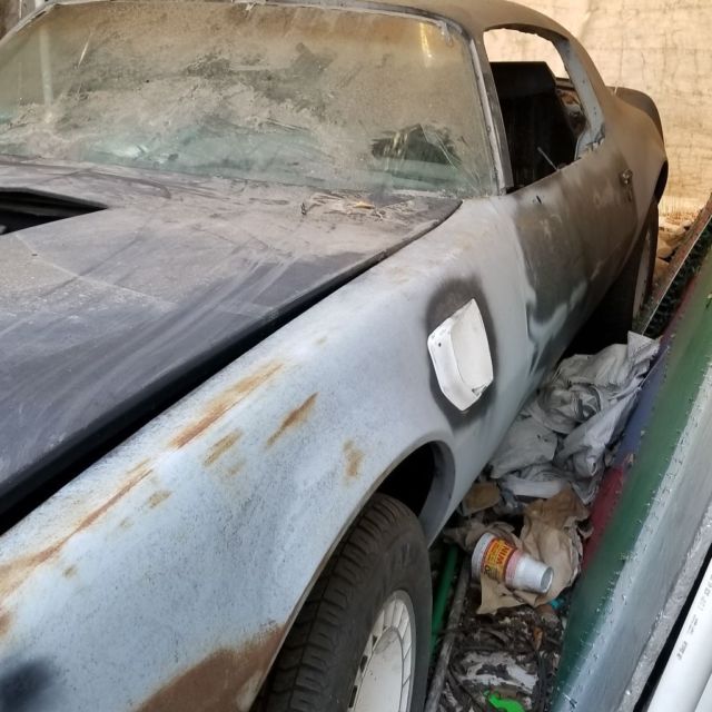 1977 Pontiac Trans Am Coupe - photo 4