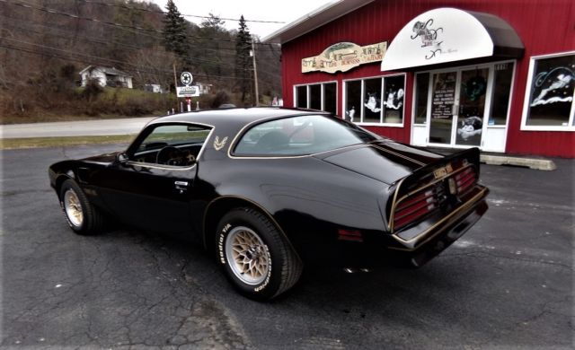 1977 Pontiac Trans Am Trans Am SE - photo 2