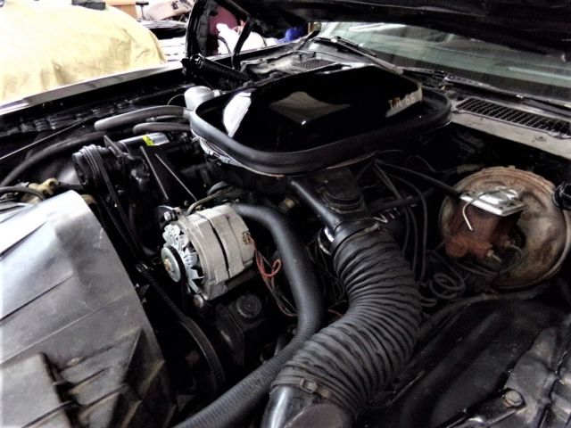 1977 Pontiac Trans Am Trans Am SE - photo 4