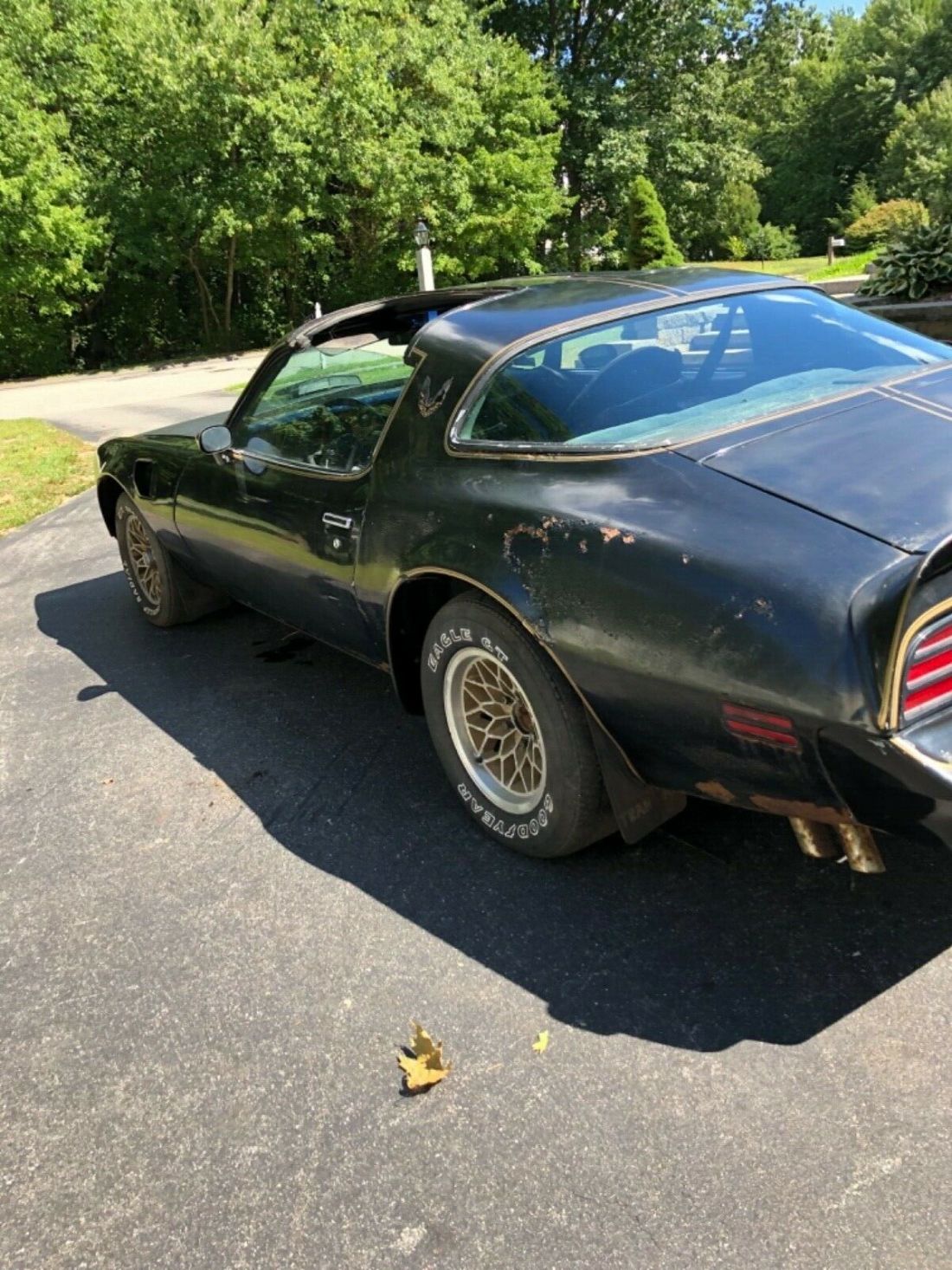 1977 Pontiac Trans Am - photo 11