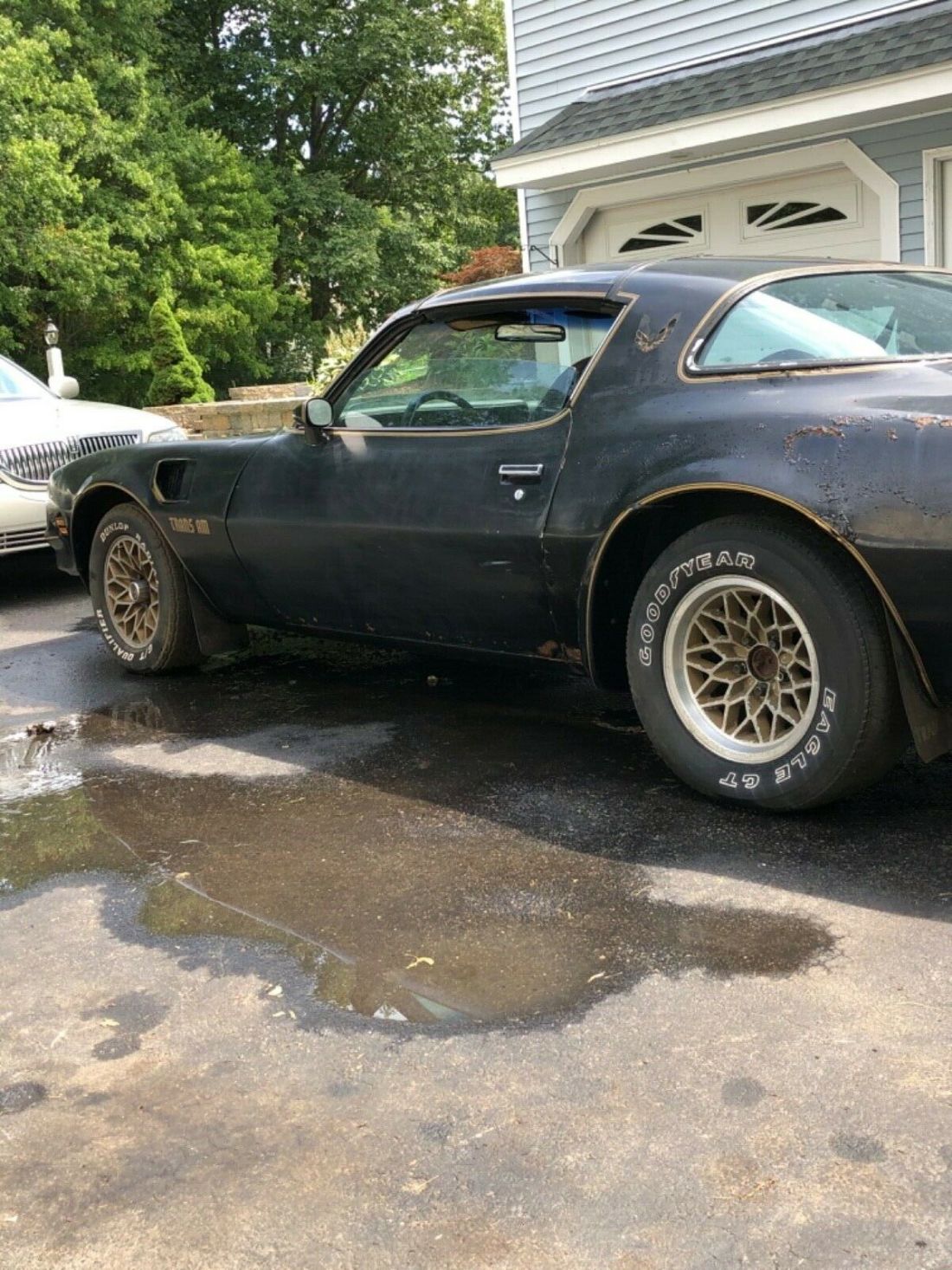 1977 Pontiac Trans Am - photo 4