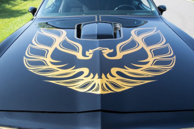 1977 Pontiac Trans Am SE -- - photo 12