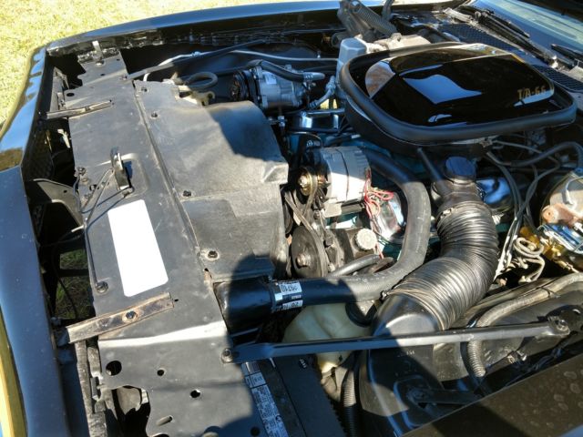 1977 Pontiac Trans Am SE - photo 10