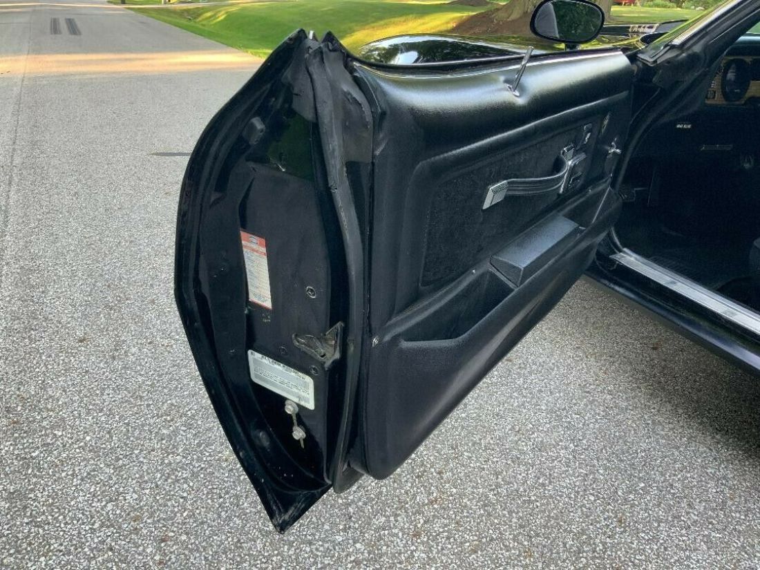 1977 Pontiac Trans Am - photo 11