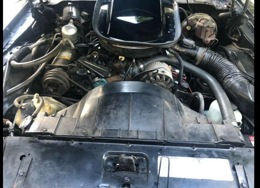 1977 Pontiac Trans Am - photo 13