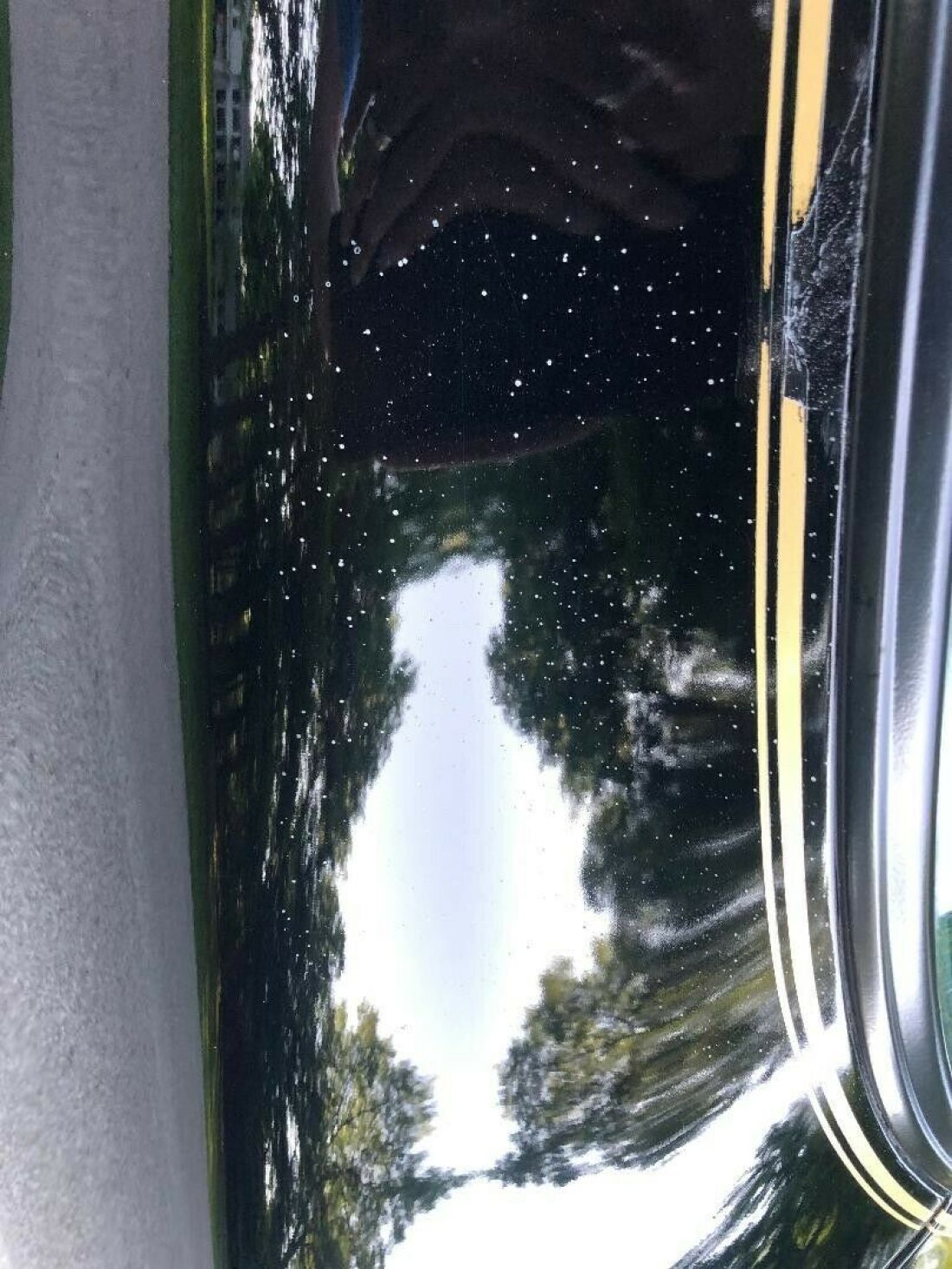 1977 Pontiac Trans Am - photo 7