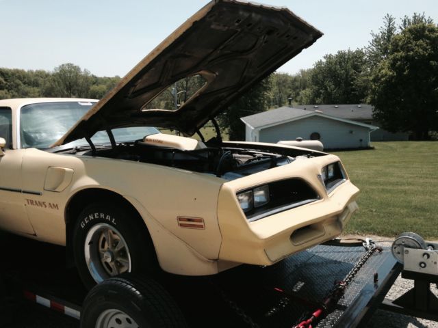 1977 Pontiac Trans Am - photo 12