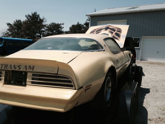 1977 Pontiac Trans Am - photo 4
