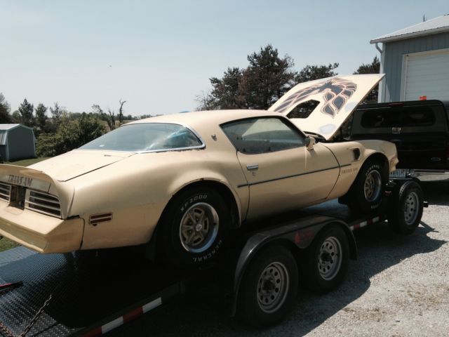 1977 Pontiac Trans Am - photo 6