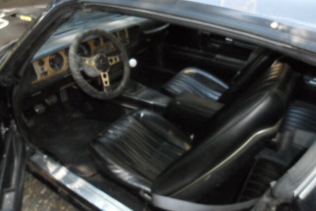 1977 Pontiac Firebird TransAm SE - photo 12