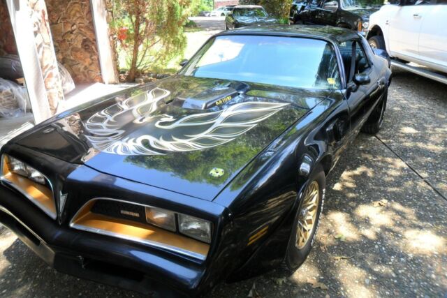 1977 Pontiac Firebird TransAm SE - photo 2