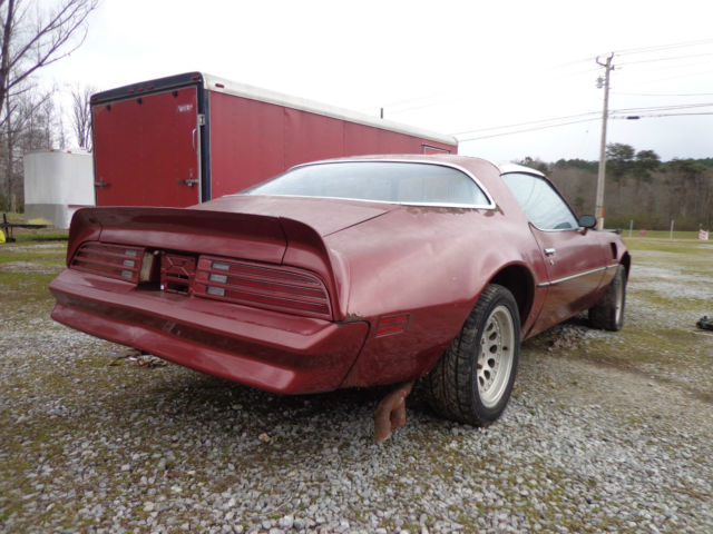 1977 Pontiac Trans Am - photo 4