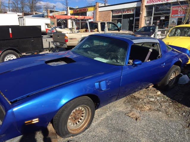 1977 Pontiac TRANS AM T_TOPS Pace Car 1977 Pontiac Trans Am