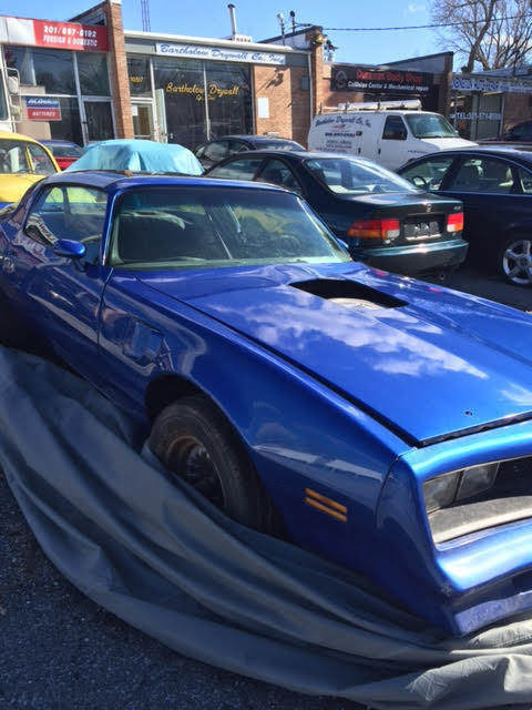 1977 Pontiac Trans Am - photo 11