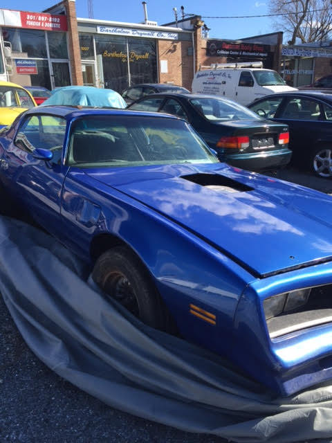 1977 Pontiac Trans Am - photo 12