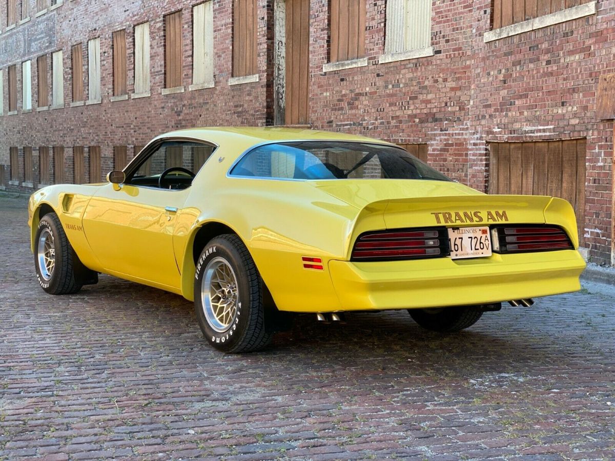1977 Pontiac Trans Am Trans Am - photo 10