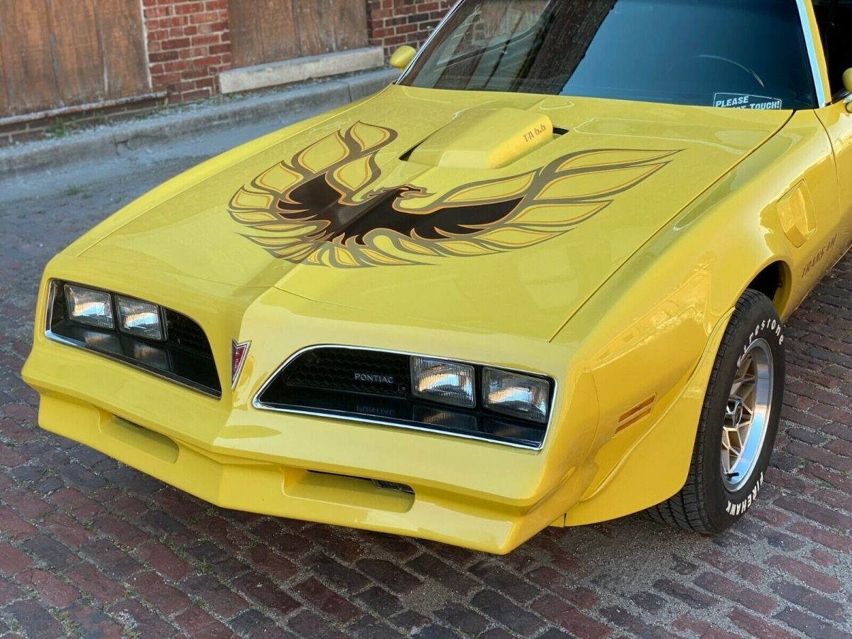1977 Pontiac Trans Am Trans Am - photo 11