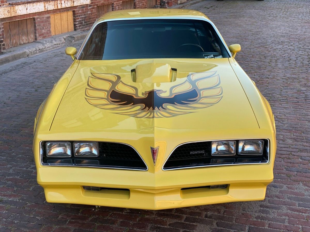 1977 Pontiac Trans Am Trans Am - photo 12