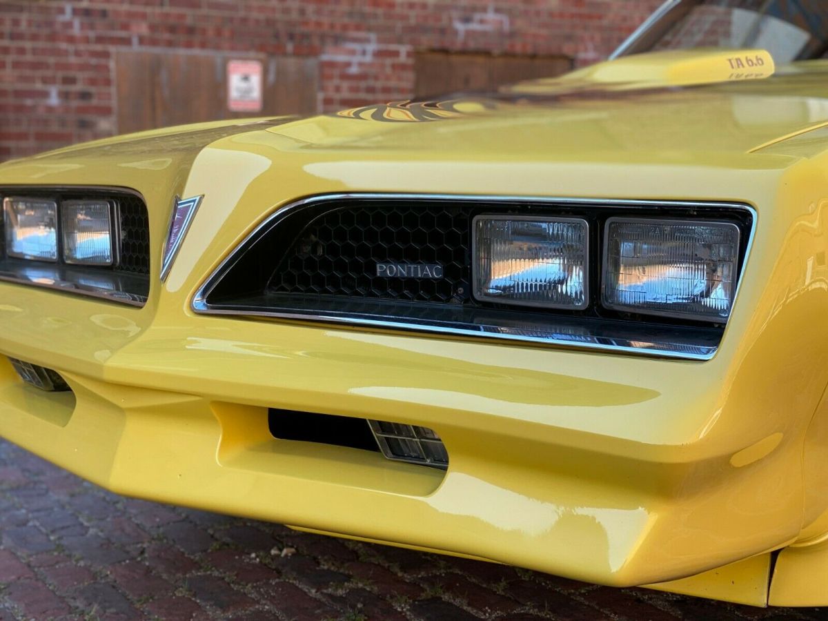 1977 Pontiac Trans Am Trans Am - photo 13