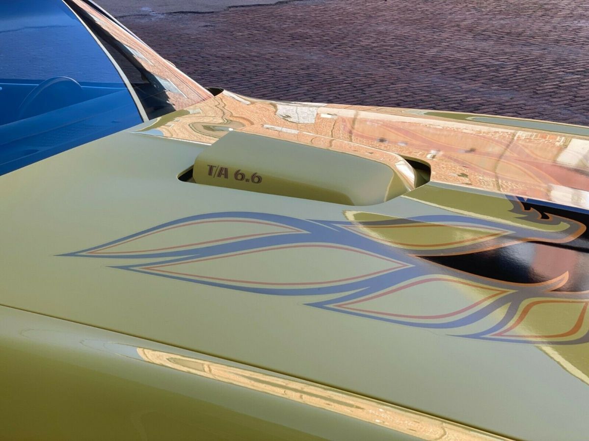 1977 Pontiac Trans Am Trans Am - photo 5