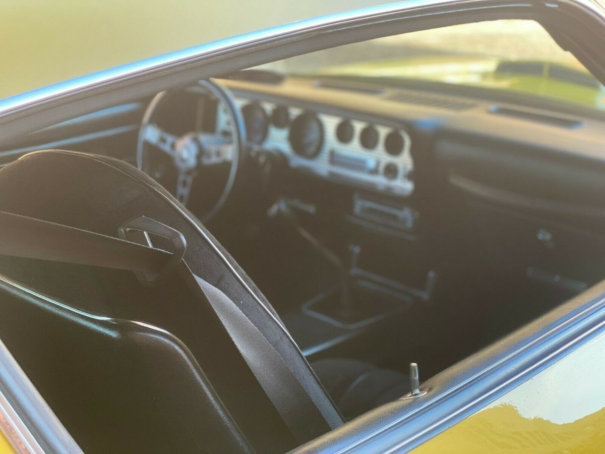 1977 Pontiac Trans Am Trans Am - photo 6