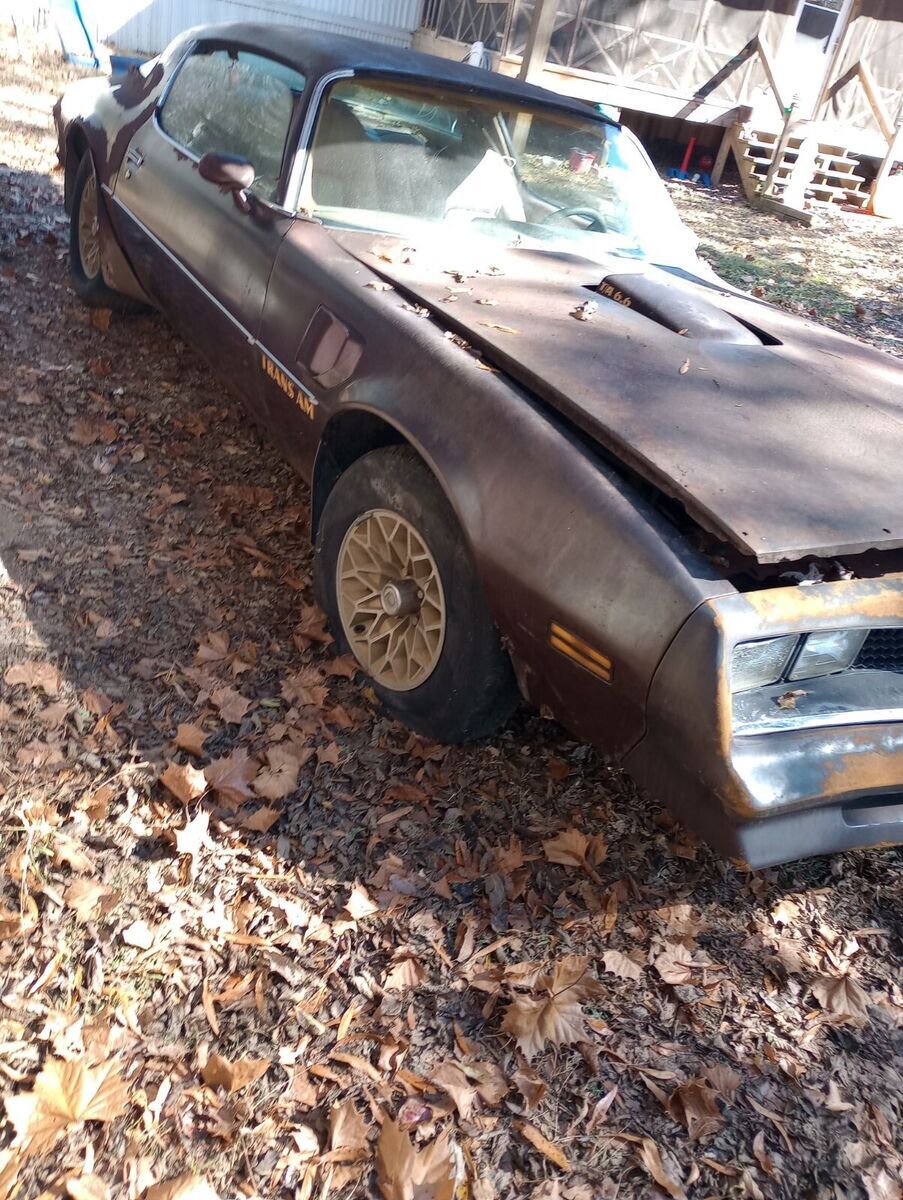 1977 Pontiac Trans Am - photo 2