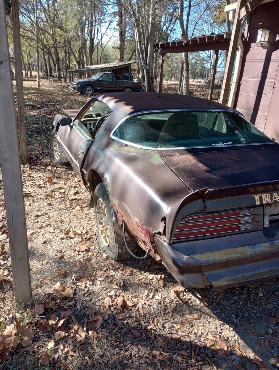 1977 Pontiac Trans Am - photo 4