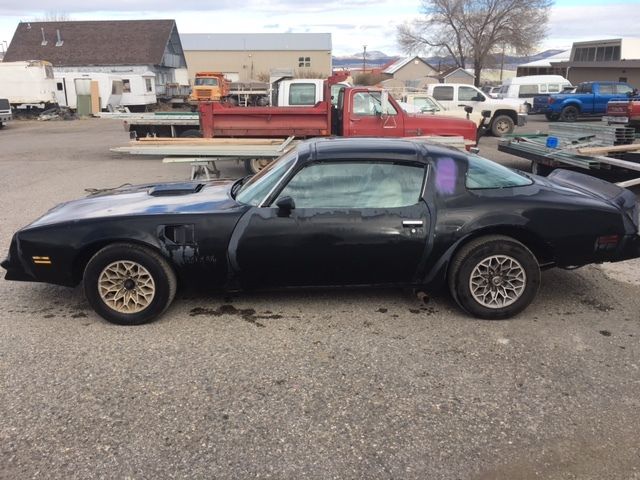 1977 Pontiac Trans Am Special Edition - photo 3