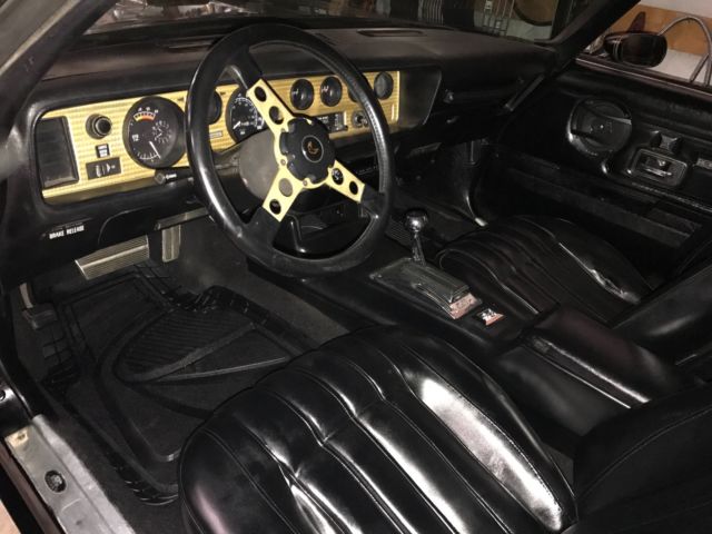 1977 Pontiac Firebird - photo 9