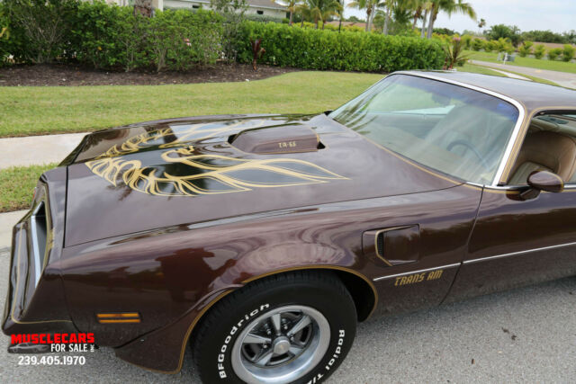 1977 Pontiac Trans Am TransAm 400 - photo 10