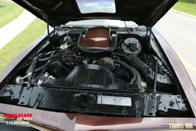 1977 Pontiac Trans Am TransAm 400 - photo 12